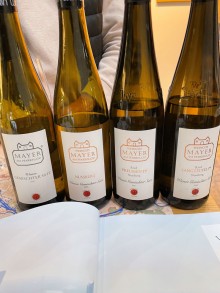 Weingut Mayer am Pfarrplatz, Wien